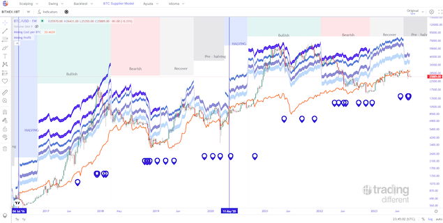 BTC Supplier Model preview